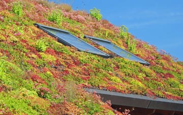 West Hanningfield living roof systems