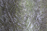 West Hanningfield fibreglass roof work